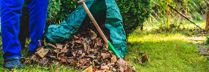 Person sammelt Laub mit Rechen.